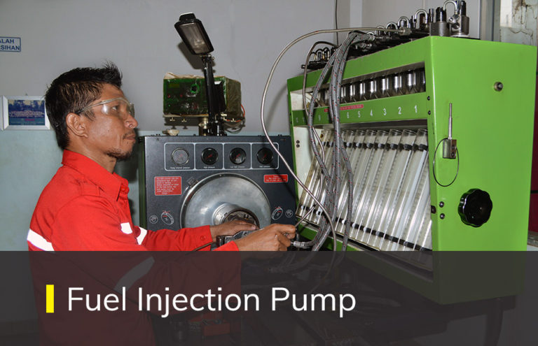 Fuel Injection Pump Service